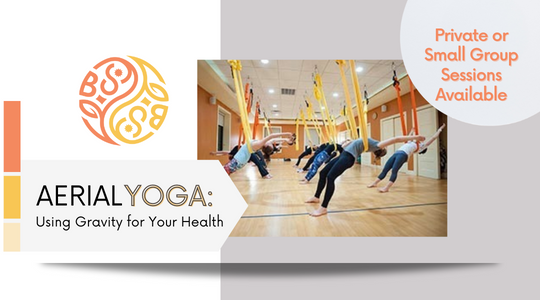 Read more about the article Aerial Yoga:  Using Gravity for your Health