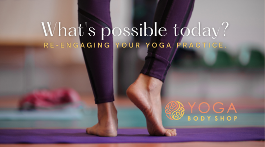 Read more about the article What’s Possible Today? Re-engaging your Yoga Practice.