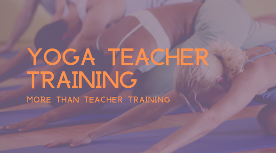 Read more about the article Yoga Teacher Training—More than Teacher Training